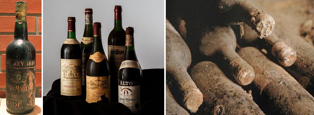 älteste Weine - Flasche Malmsey 1880, 5 verschiedene Flaschen und schimmelüberzogene Flaschen