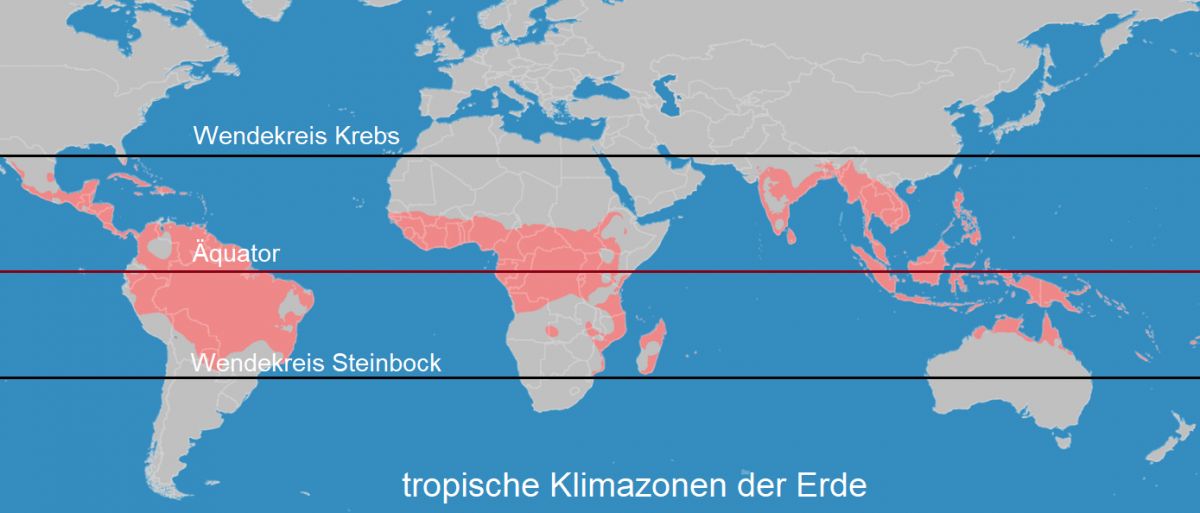 Karte der tropischen Klimazonen der Erde