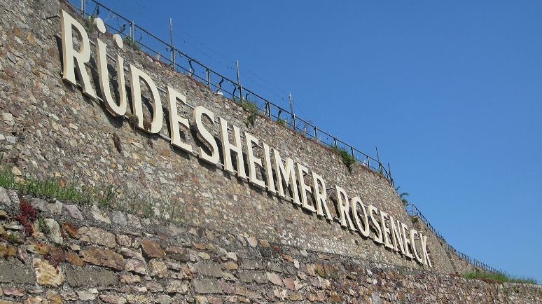 Einzellage Bedrg Roseneck in Rüdsesheim im Rheingau