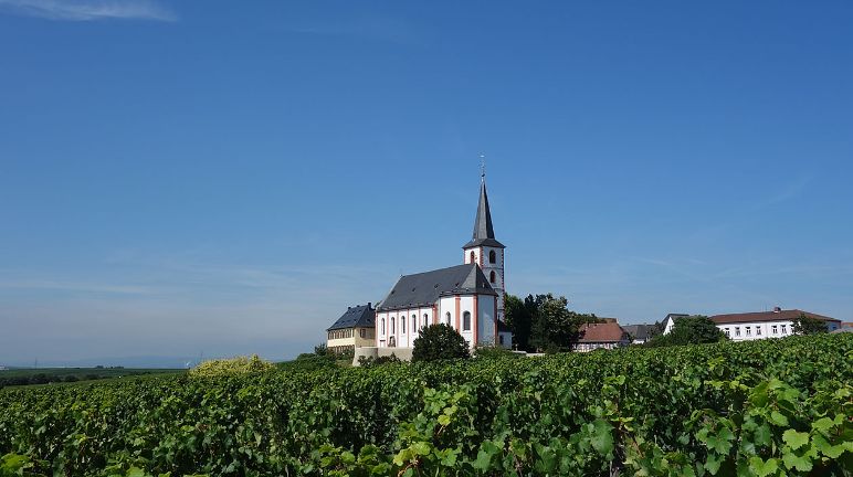 Kirchenstück-Hochheim-Rheingau