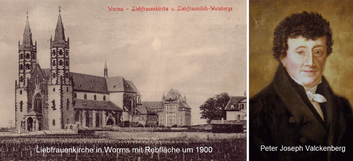 Liebfrauenkirche in Worms mit Rebflächen - Peter Joseph Valckenberg
