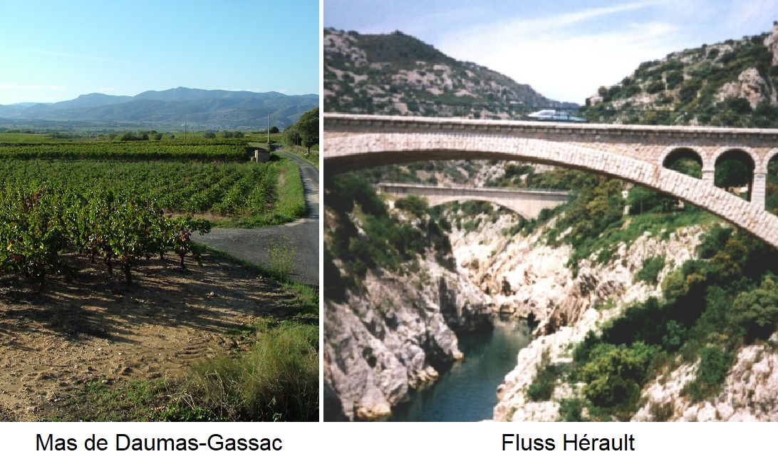 Hérault: Rebflächen Mas de Daumas-Gassac - Fluss Hérault