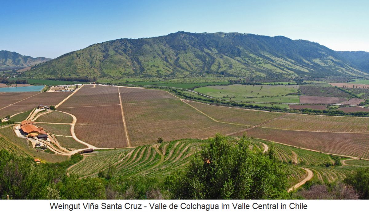 Weingut Viña Santa Cruz - Valle de Colchagua im Valle Central in Chile
