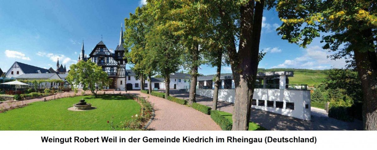 Weingut Robert Weil in der Gemeinde Kiedrich im Rheingau (Deutschland)