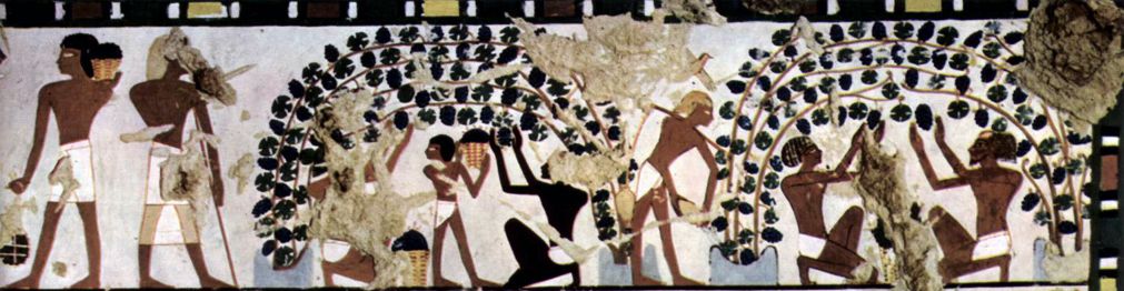 Malerei aus dem Grab des Chaemwese in Theben um 1450 v. Chr. mit Motiven der Weinlese und Weinbereitung - Bild 1