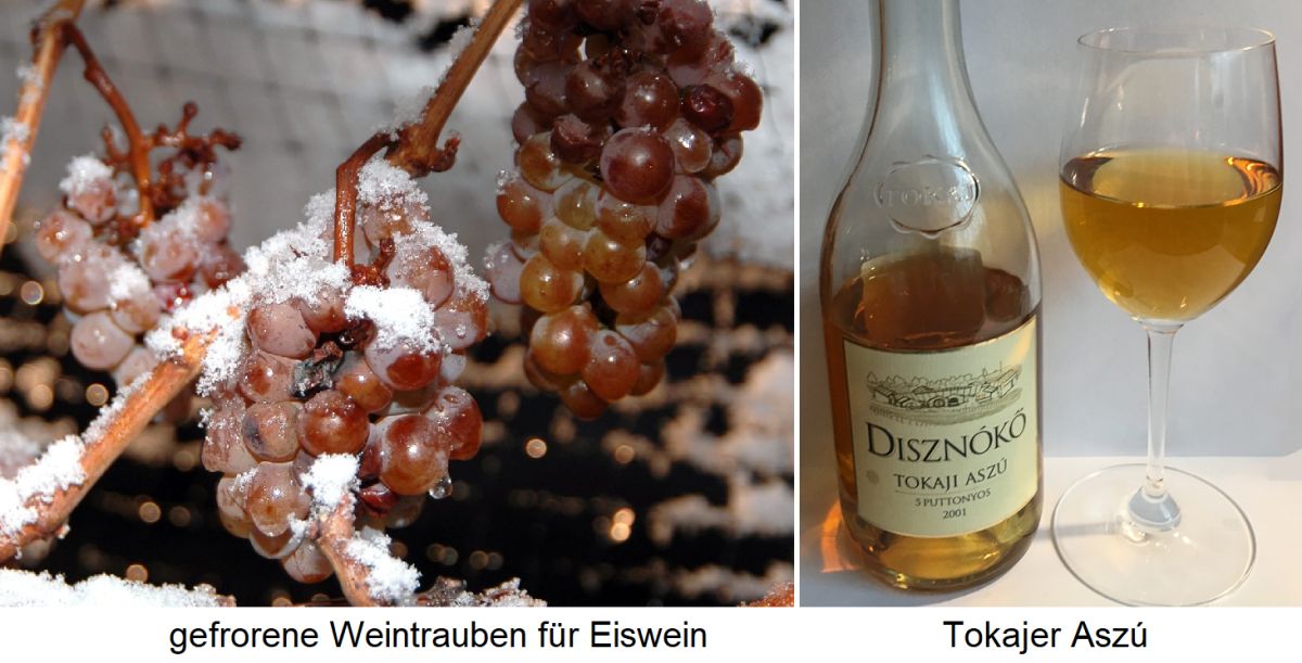 Süßwein - gefrorene Weintrauben für Eiswein / Tokajer Aszú Flasche und Glas