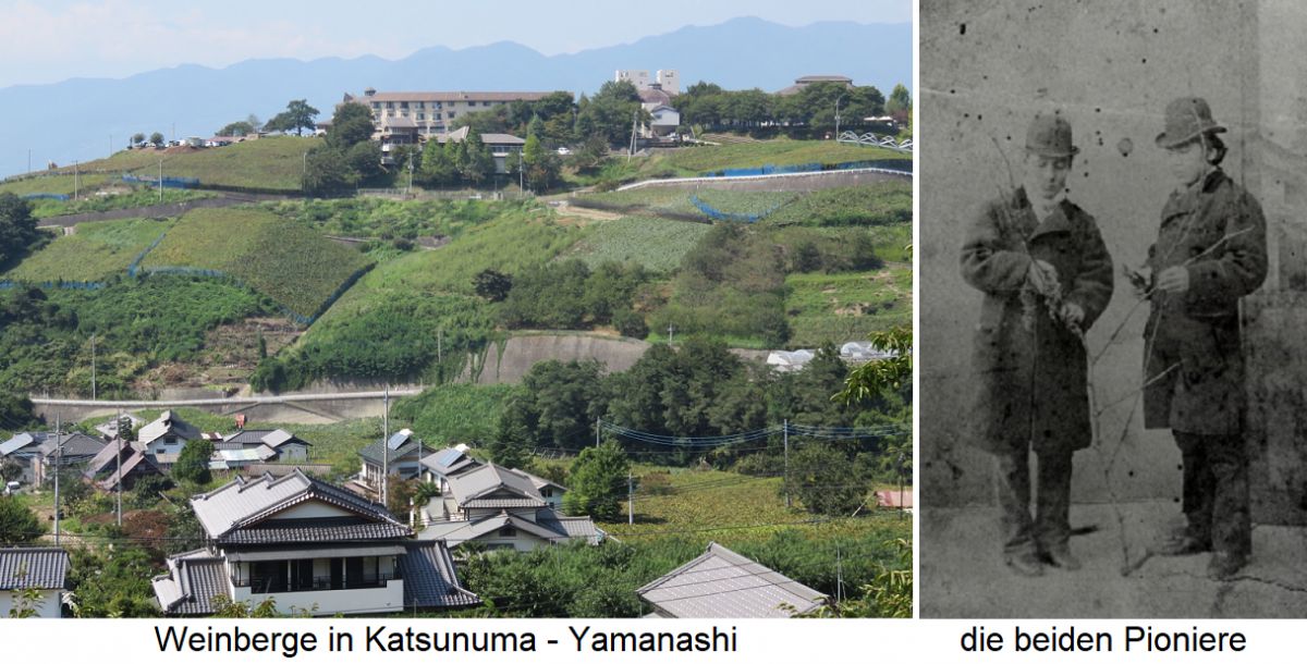 Yamanashi - Weinberege und die Pioniere Masanari Takano und Ryuken Tsuchiya 