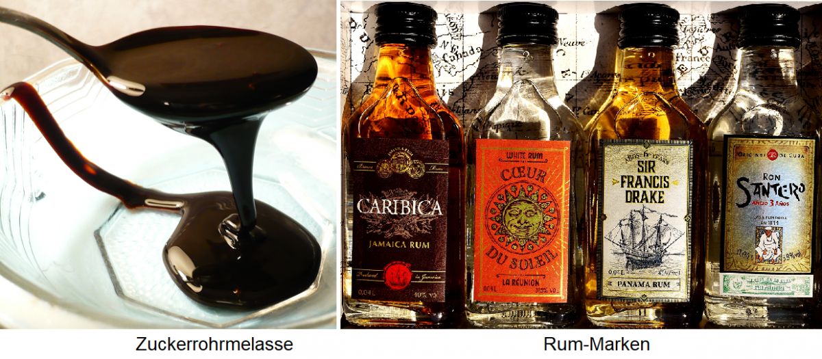 Rum - Zuckerrohrmelasse und Rum-Marken