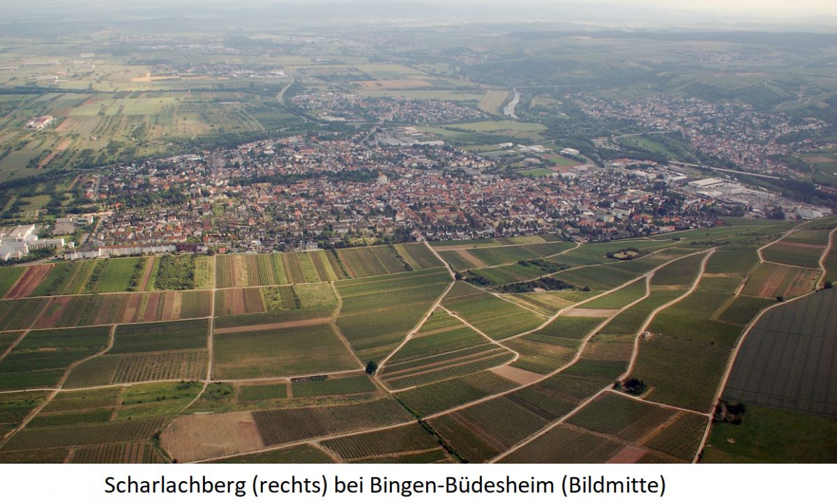 Scharlachberg - Einzellage (rechts im Bild) und Bingen-Büdesheim (Bildmitte)