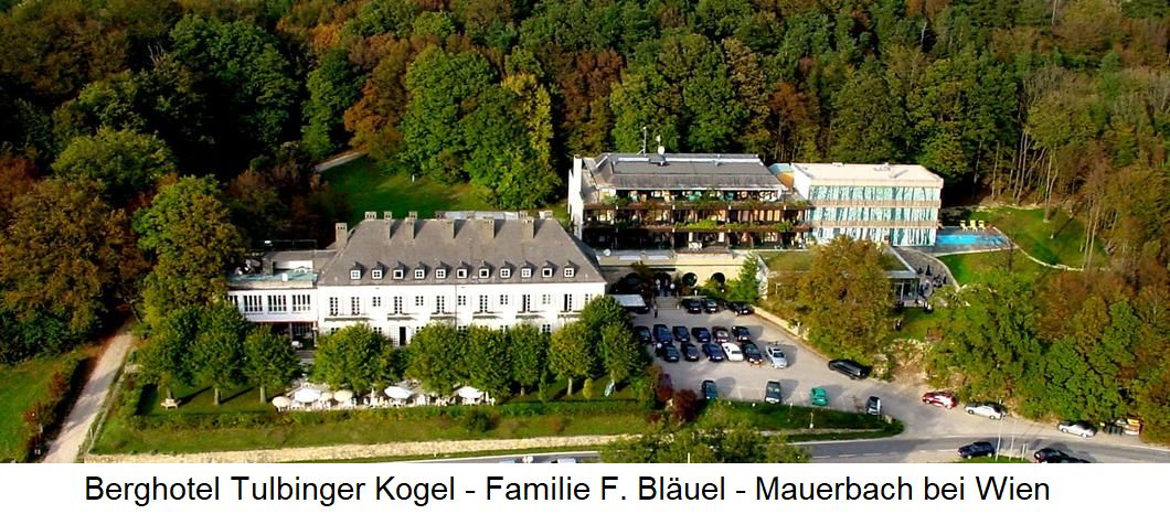 Wein ZTu Speisen - Berghotel Tulbingerkogel - Familie Frank Bläuel - Mauerbach bei Wien - Gesamtansicht