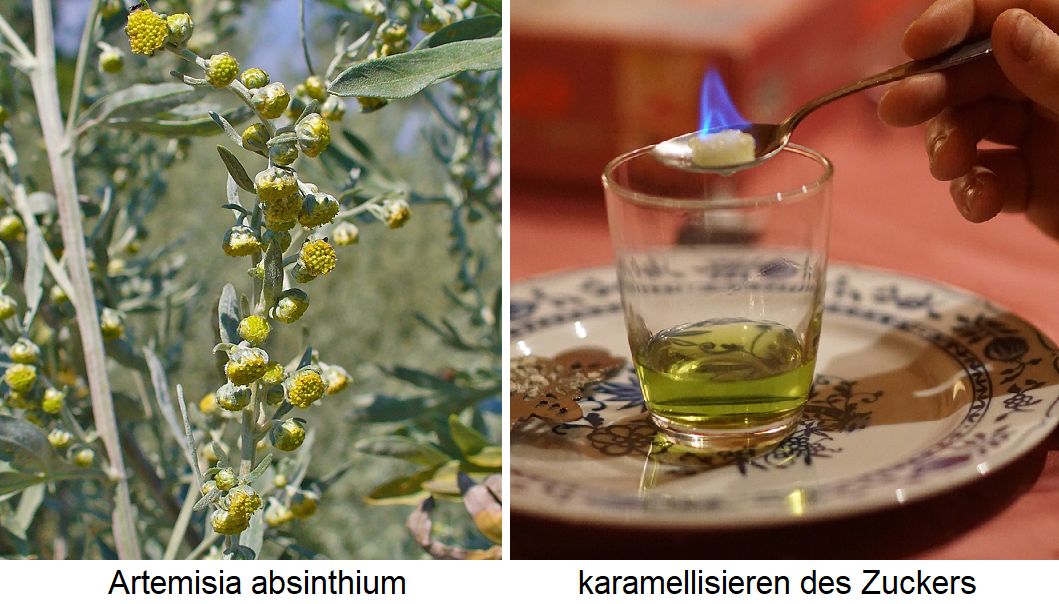 Absinth - Artemisia absinthium und Glas mit Absinth (karamellisieren des Zuckers)