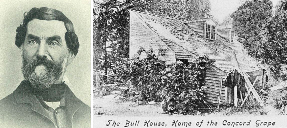 Bull Ephraim - Porträt und Haus