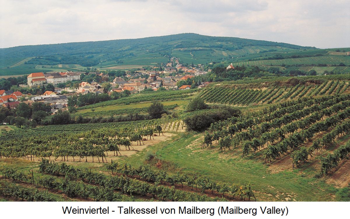 Mailberg - Talkessel von Mailberg mit Weingärten
