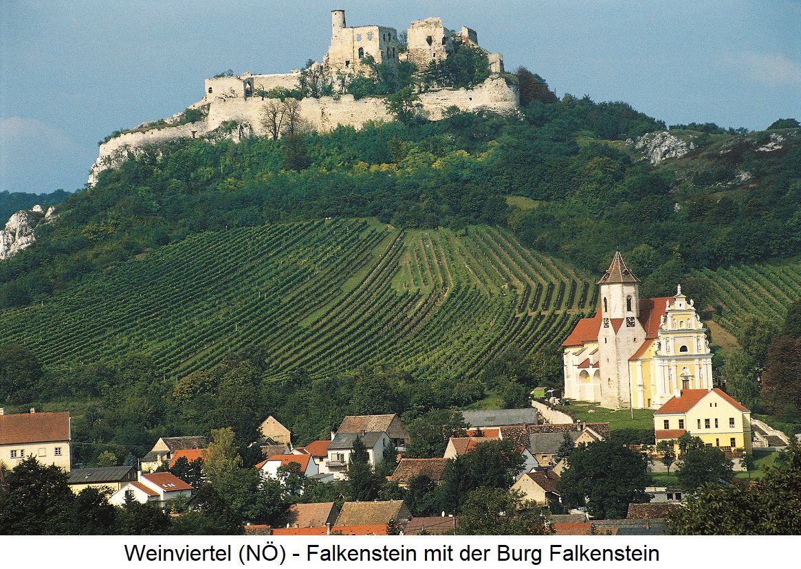 Falkenstein - mit Rebflächen und Burg Falkenstein