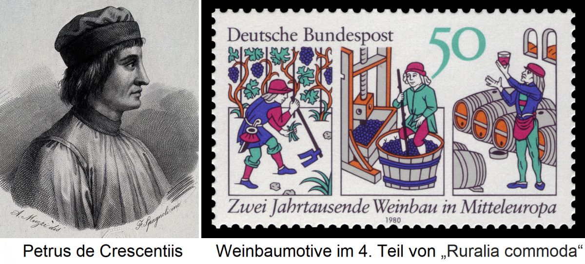 Petrus de Crescentiis - Porträt-Zeichnung und Weinbereitung (Briefmarke)