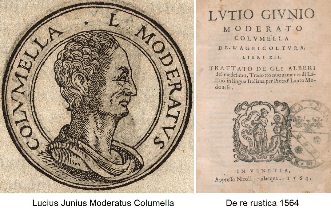 Columella - Porträt und Ausgabe De re rustica 1564
