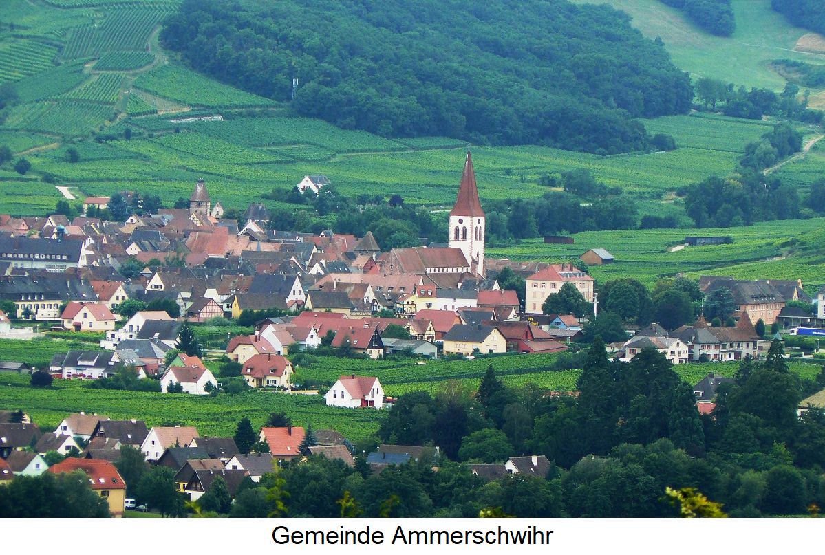 Wineck-Schlossberg - Gemeinde Ammerschwihr mit Weinbergen