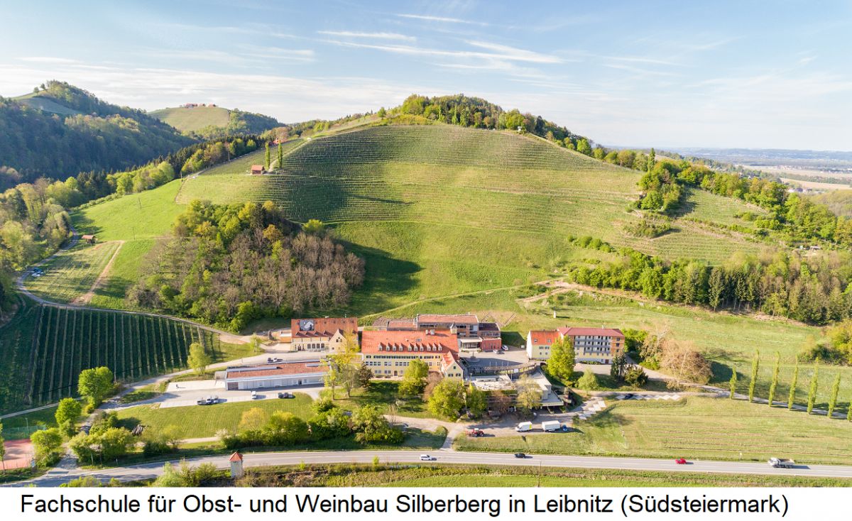 Weinbauausbildung - Fachschule Silberberg in Leibnitz (Südsteiermark)