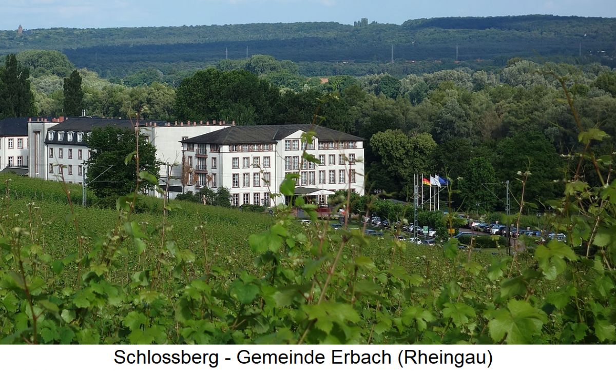 Schlossberg - Gemeinde Erbach (Rheingau)