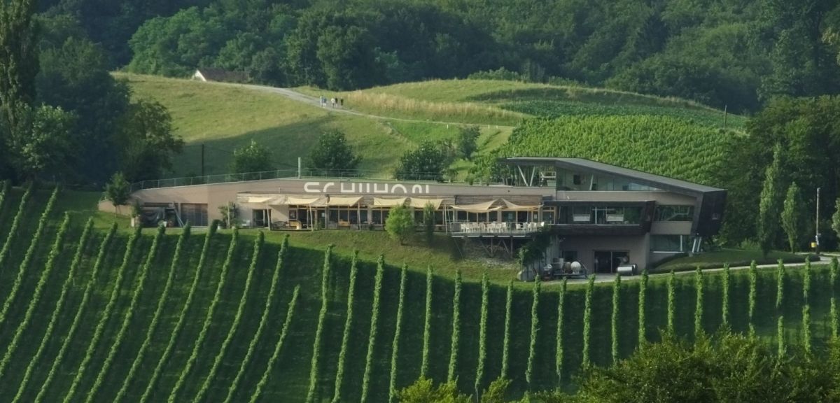 Schilhan - Weingutsgebäude inmitten der Weinberge
