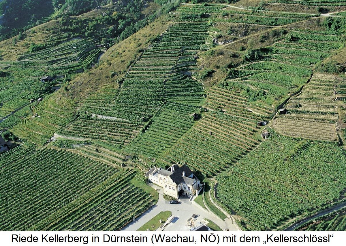 Kellerberg mit Kellerschlössl - Dürnstein Wachau
