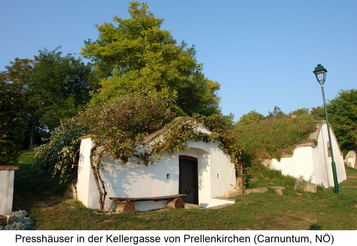 Presshäuser in der Kellergasse von Prellenkirchen (Carnuntum, NÖ)
