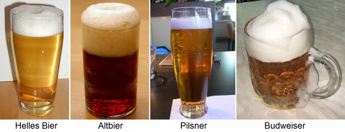 Bier - Biergläser mit Helles Bier, Altbier, Pilsner und Budweiser