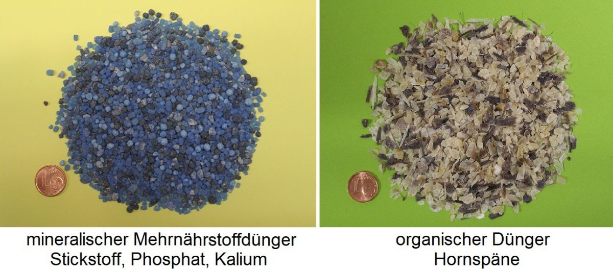 mineralischer Dünger / organischer Dünger
