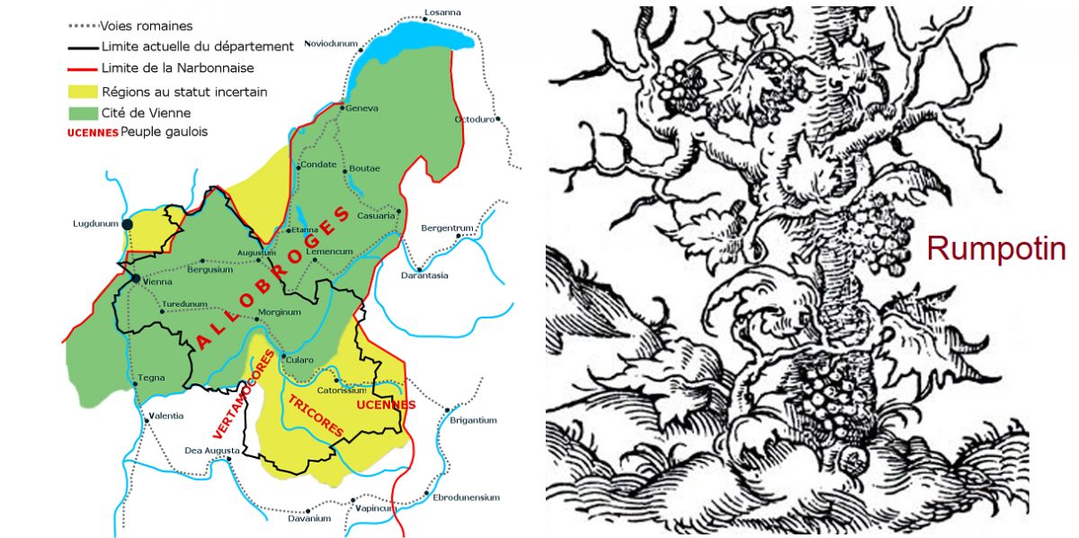 Allobrogica - Karte mit dem Bereich der Allobroger und Rumpotin-Baum