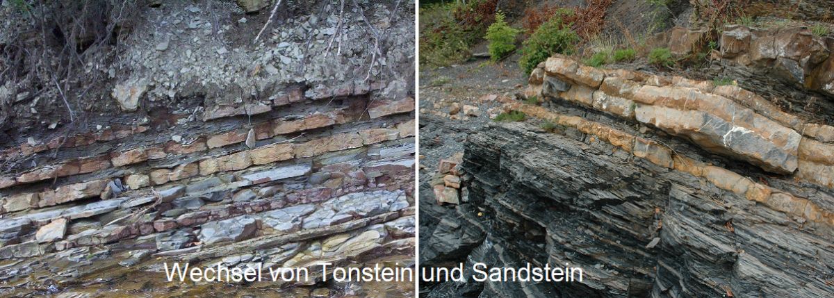 Bodentyp - Sedimente (Schichten von Tonstein und Sandstein)