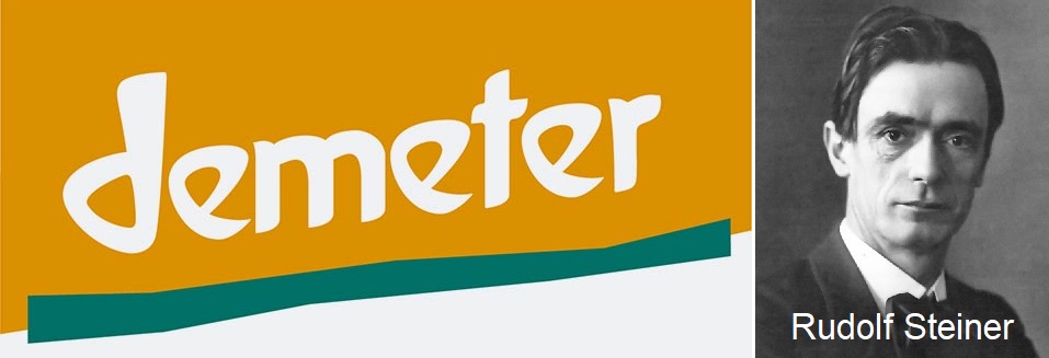 DEMETER - Logo und Porträt Rudolf Steinet