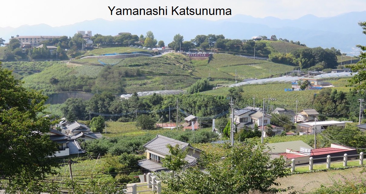 Japan - Yamanashi Katsunuma