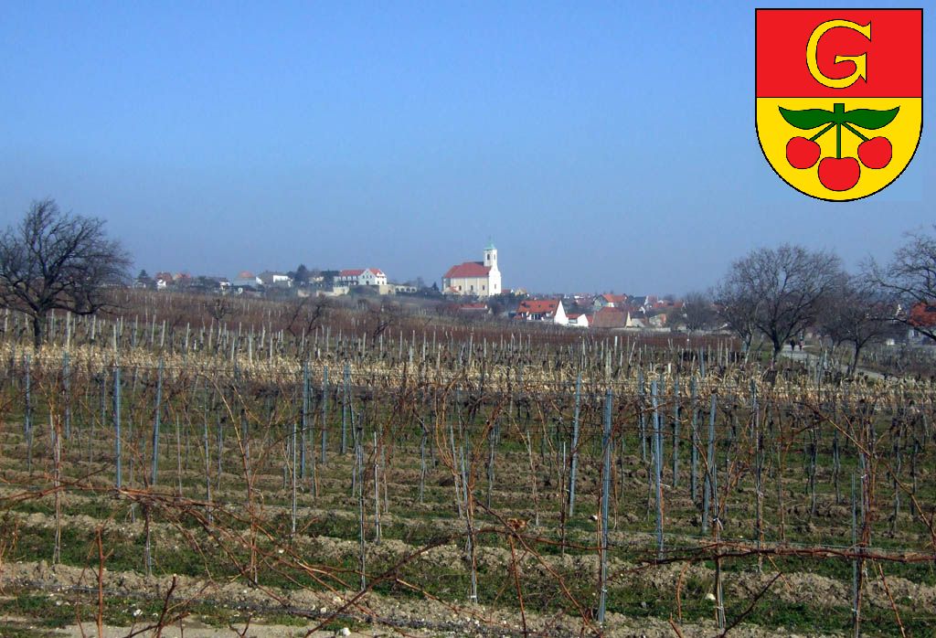 Jois - Weingärten mit Gemeinde im Hintergrund und Wappen (3 Herzkirschen)