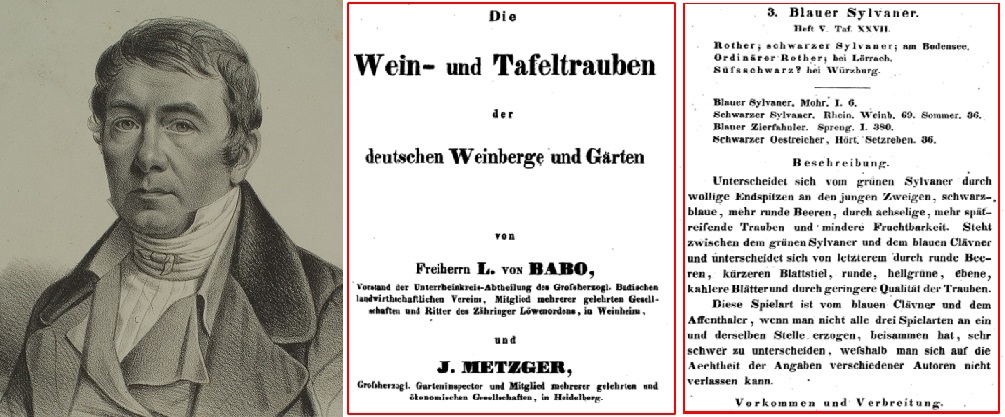 Metzger Johann Christian - Porträt und Buchseiten