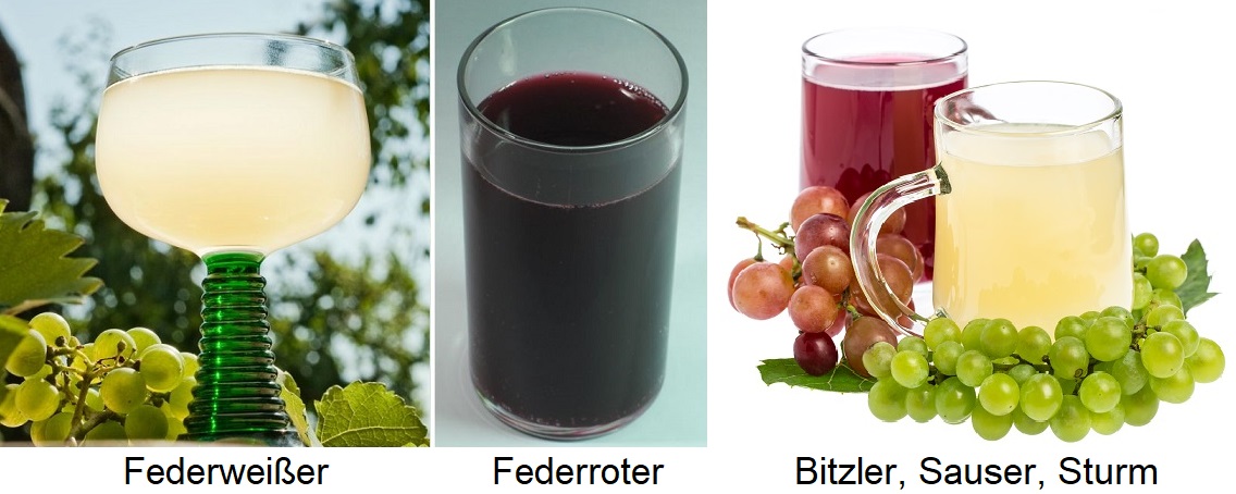 Most - Federweißer, Federroter, Sturm (Bitzler, Sauser)