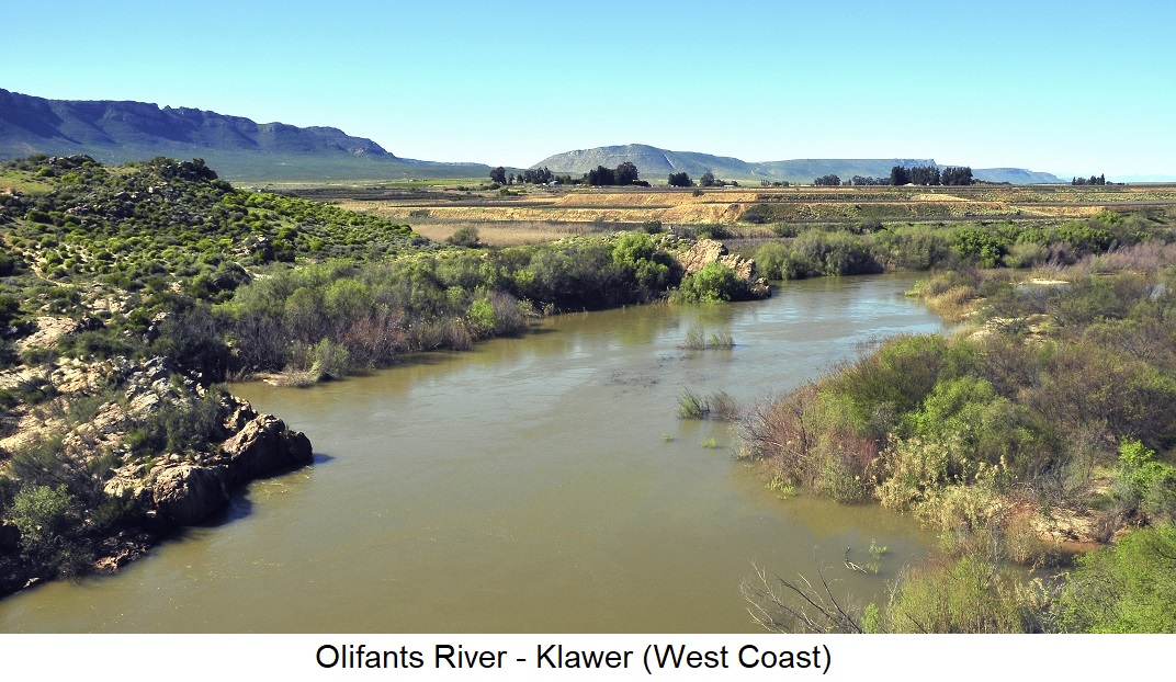 Olifants River - bei Klawer (West Coast)