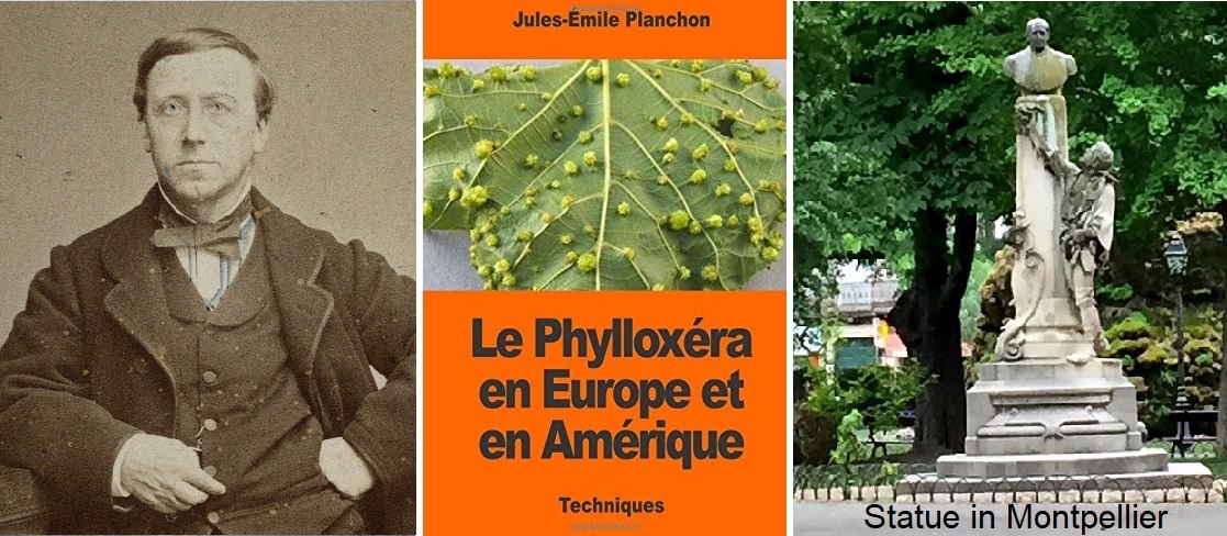 Planchon Jules Émile - Porträt, Buchcover und Statue in Montpellier