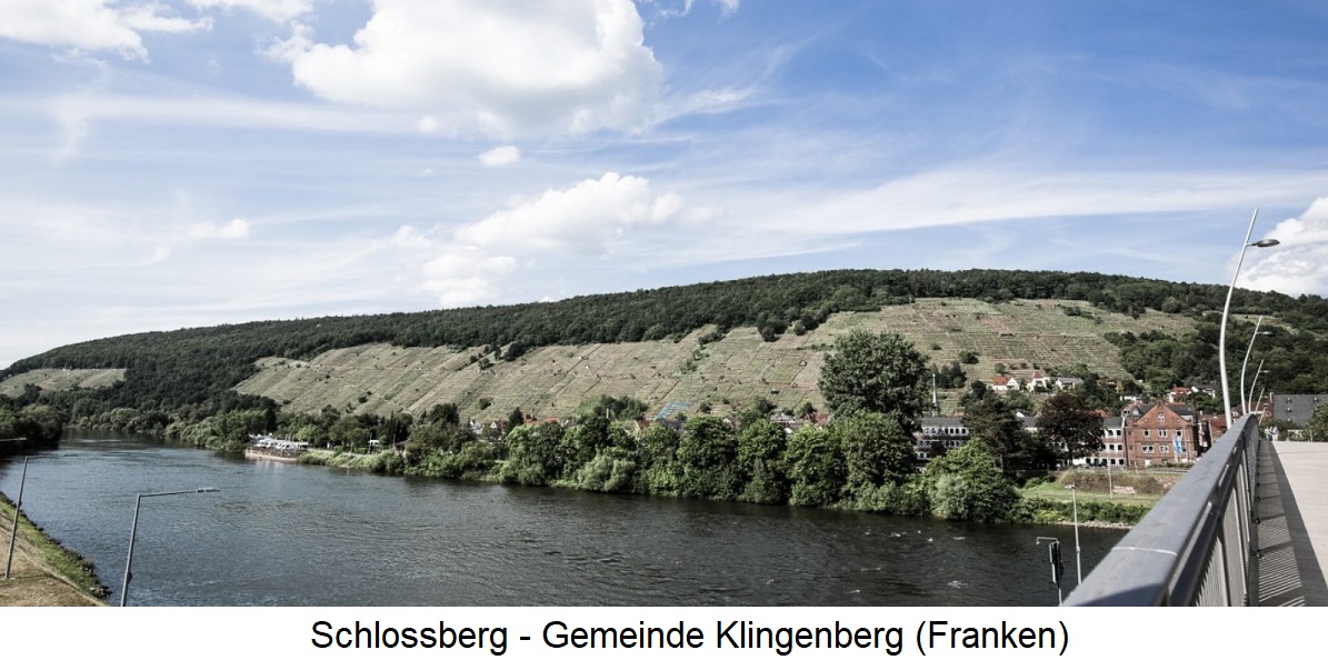 Schlossberg - Gemeinde Klingenberg - Weinberge