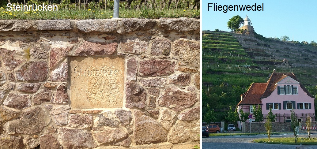 Ateinrücken - Mauer Steinrücken uznd Weinberg Fliegenwedel