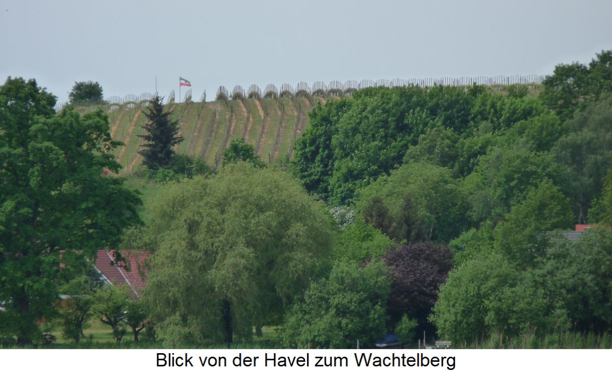 Wachtelberg - Blick von der Havel zum Wachtelberg